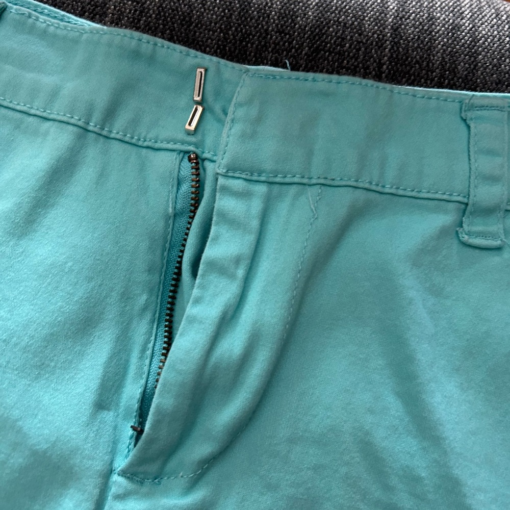 Shorts - Picture 4 of 4